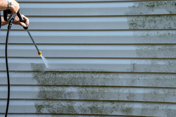 Best Siding Removal and Disposal  in Loch Lomond, VA