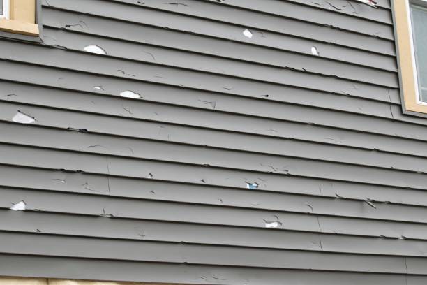 Best Brick Veneer Siding  in Loch Lomond, VA
